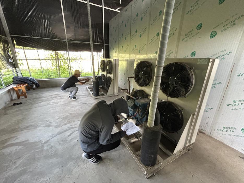 武汉：关注农产品冷链设施建设情况