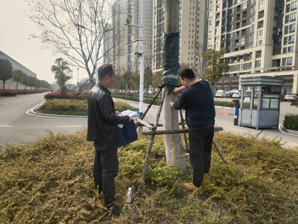 青山：关注公园生物性资产管理情况