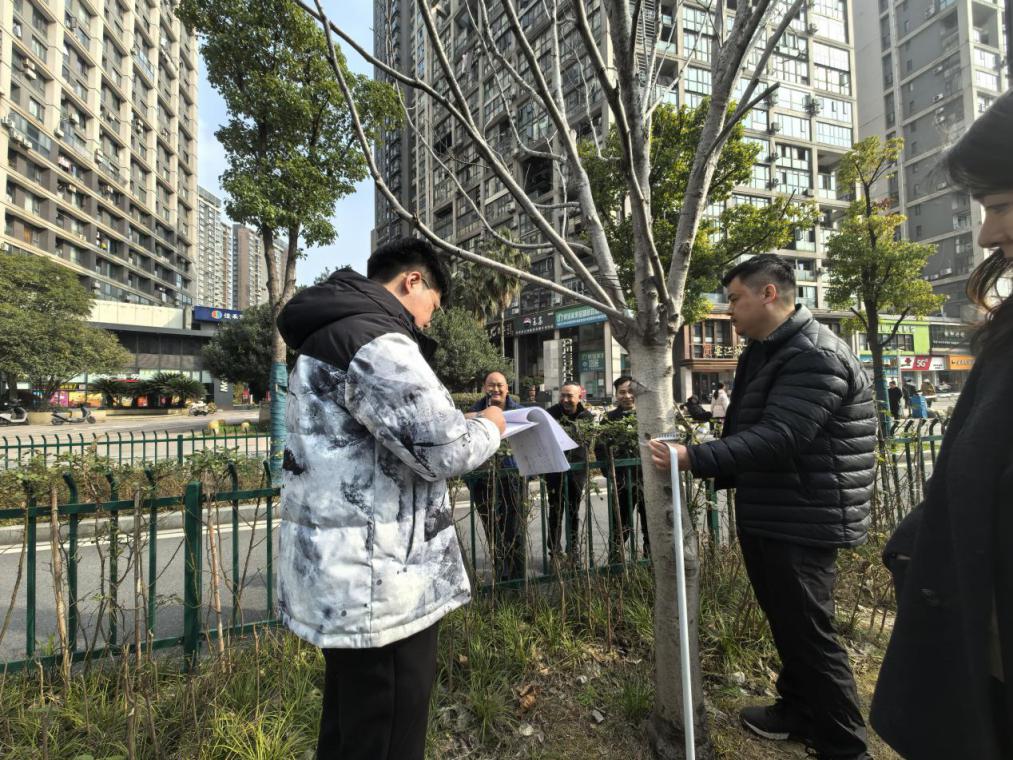 关注道路工程精细化实施情况