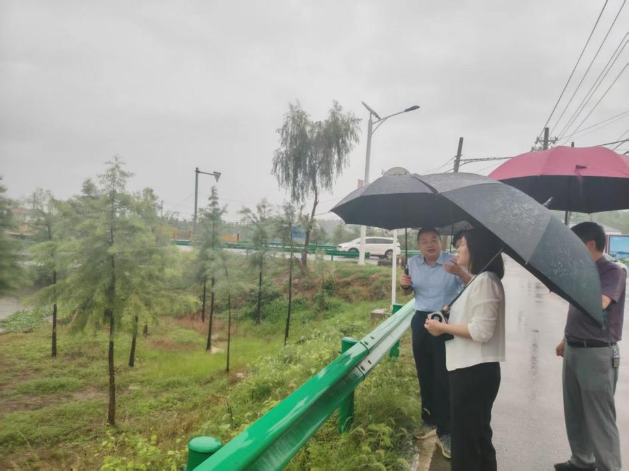 市审计局领导赴新洲区湿地生境恢复项目现场调研